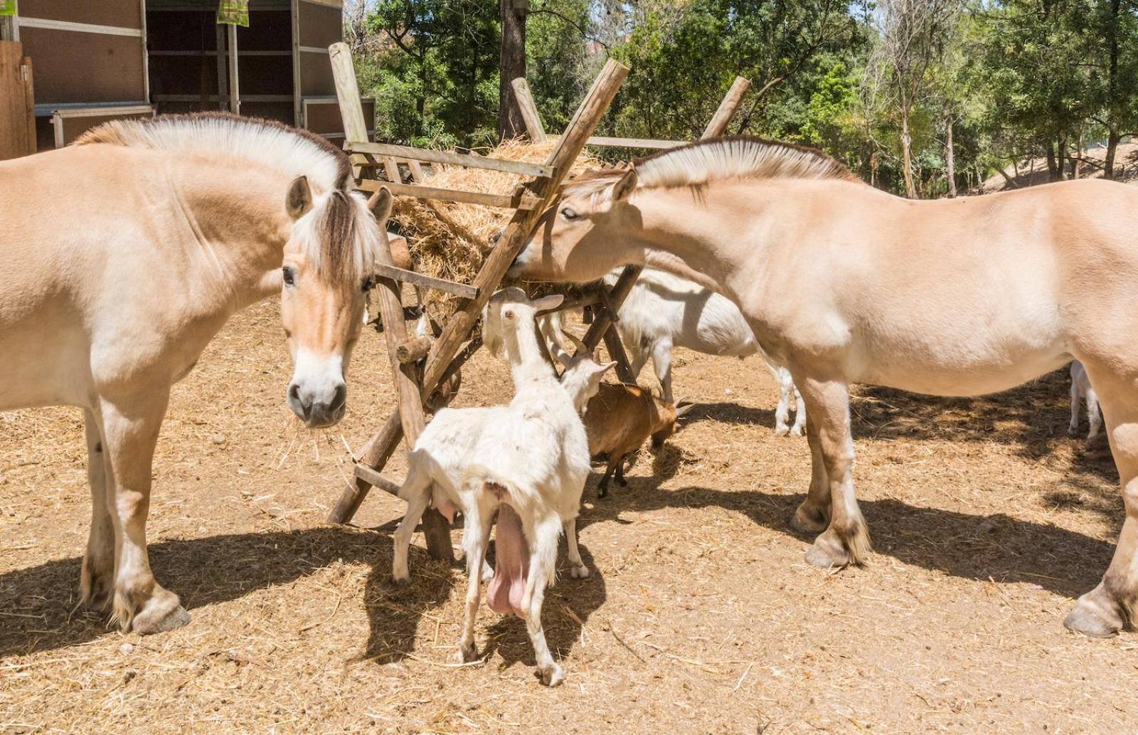 Sobreda Quinta De Sao Pedroヴィラ エクステリア 写真