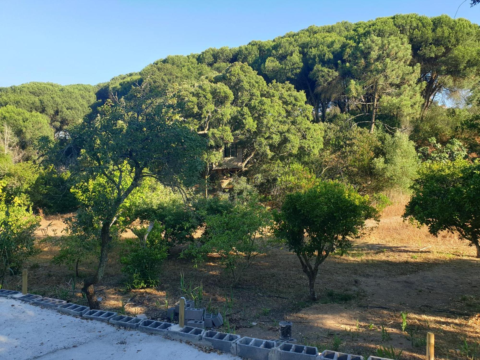 Sobreda Quinta De Sao Pedroヴィラ エクステリア 写真